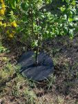 Krążek filcowy zabezpieczający przed chwastami ściółkowanie grafit fi 50 cm - 3