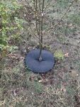 Krążek filcowy podkładka, mata, dysk antychwastowy Φ60 cm szary – do ściółkowania roślin, drzewek, drzew - 5