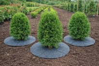 Krążek filcowy zabezpieczający przed chwastami ściółkowanie szary fi 40 cm - 6