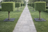 Filcowa mata przeciwchwastowa kwadratowa 37x37 cm 4mm szara, do ściółkowania roslin, drzewek, drzew, szkółkarstwa - 6