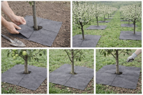 Filcowa mata kwadratowa przeciwchwastowa 37x37 cm 3mm szara, do ściółkowania roslin, drzewek, drzew, szkółkarstwa - 10