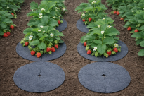 Krążek filcowy podkładka, mata, dysk antychwastowy Φ37 cm szary – do ściółkowania roślin, drzewek, drzew - 3