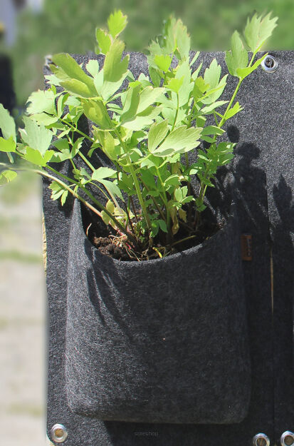 Kieszeń modułowa wertykalna 1K 25x40 cm